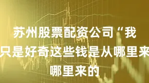 苏州股票配资公司“我们只是好奇这些钱是从哪里来的